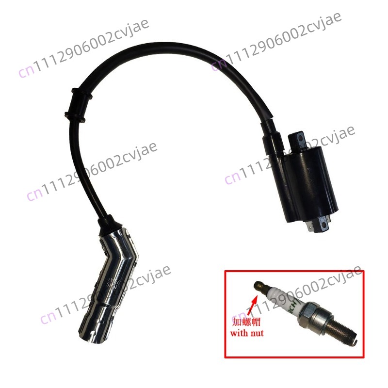 ZT310-V X T R1 2 حزمة الجهد ال - مراجعة Motorcycle Spark Plug وسعره